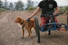 Load image into Gallery viewer, Flagline™ Dog Harness with Handle