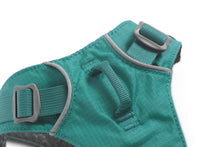 Load image into Gallery viewer, Flagline™ Dog Harness with Handle