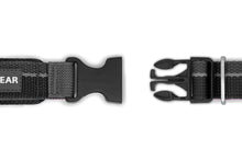 Load image into Gallery viewer, Roamer™ Bungee Dog Leash