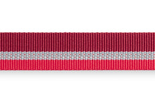 Load image into Gallery viewer, Crag™ Reflective Dog Leash