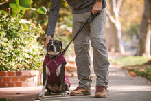 Load image into Gallery viewer, Stumptown™ Quilted Dog Coat