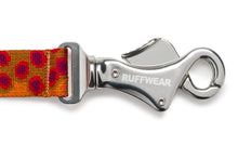 Load image into Gallery viewer, Flat Out™ Leash
