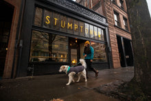 Load image into Gallery viewer, Stumptown™ Quilted Dog Coat

