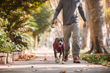 Load image into Gallery viewer, Stumptown™ Quilted Dog Coat

