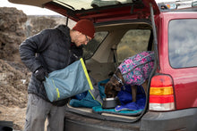 Load image into Gallery viewer, Kibble Kaddie™ Dog Food Travel Bag
