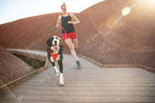 Load image into Gallery viewer, Front Range™ Dog Leash
