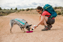 Load image into Gallery viewer, Swamp Cooler™ Dog Cooling Vest

